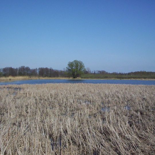 Rezerwat przyrody Stawy Gnojna im. rodziny Bieleckich