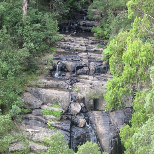 Kinglake National Park