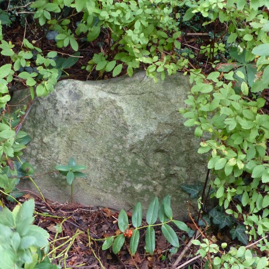 Cup and ring marked rock in Wharfemeadows Park, 280m west of Newall Hall