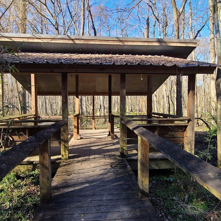Bluebonnet Swamp Nature Center