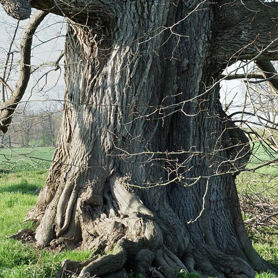 NSG Gueller Bach - Lobbenbach