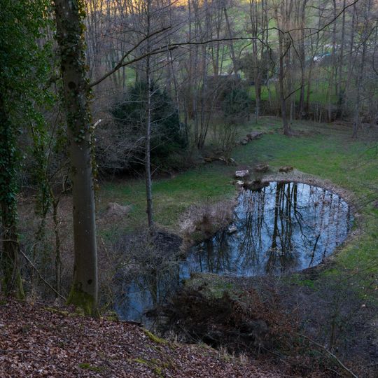 Sumpfgebiet am Haldenbach