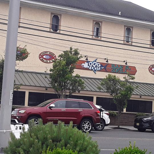 Dogtooth Bar & Grill
