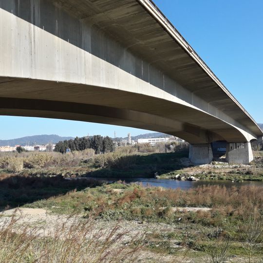 Pont de Molins de Rei