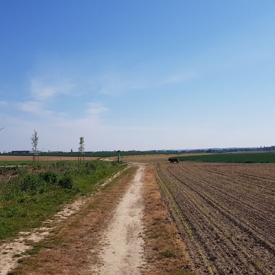 Pierre de frontière Belgique-Pays-Bas no. 95