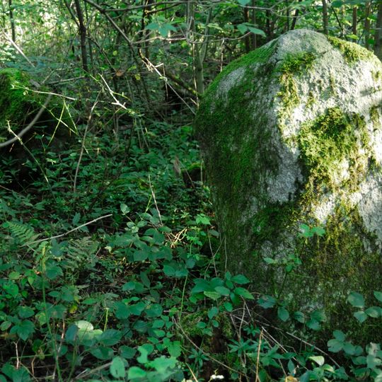 Häslerhau, Iron Age burial mound group