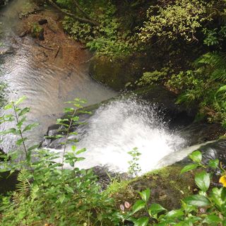 Pohuehue Falls