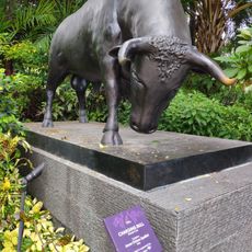 Charging bull