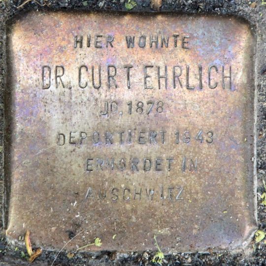 Stolperstein dedicated to Dr. Curt Ehrlich