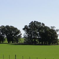 partido di General La Madrid