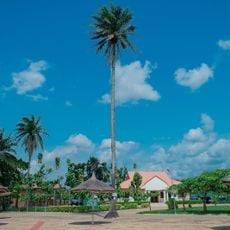 The Nelson Mandela Gardens