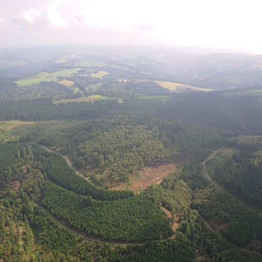 Rothaarkamm am Grenzweg