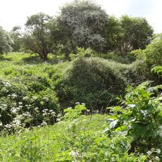 Southwood Open Space