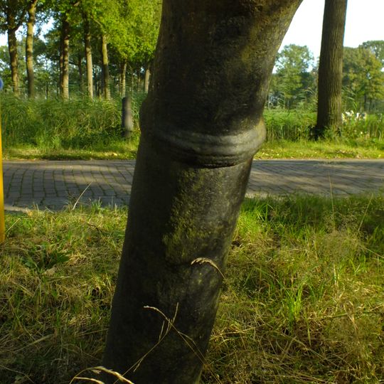 Heeswijk: twee kanonslopen