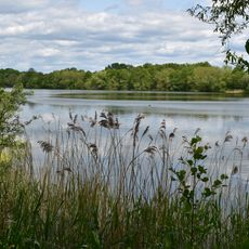 Dinton Pastures Country Park