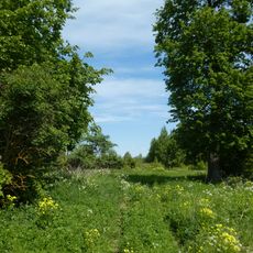 Усадебный комплекс (Волгово)