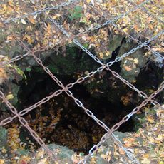 Narusawa Lava Tree Molds