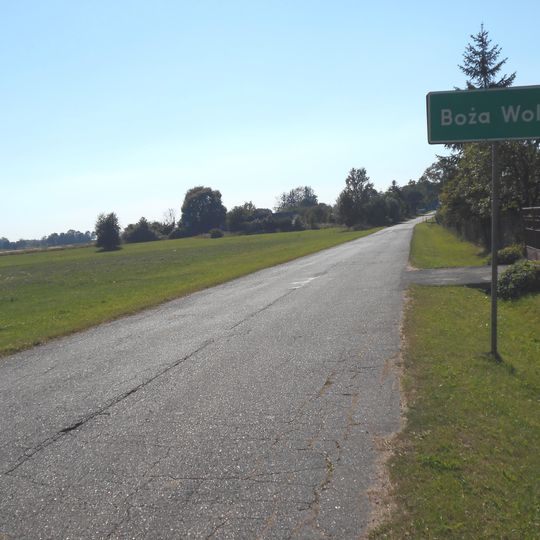 Boża Wola, powiat miński