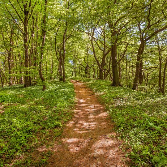 Kamm des Wesergebirges