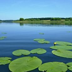 Dolgener- und Hohensprenzer See - Landkreis Güstrow (jetzt Lkrs. Rostock)