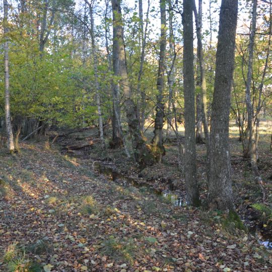 Norra Fågelås naturreservat