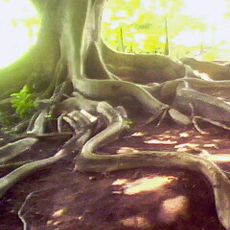 Parque Histórico Castro Alves