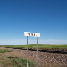 Petrel