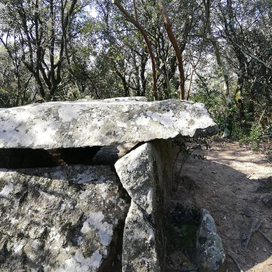 Poblat ibèric de Castellruf