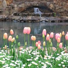Araluen Botanic Park