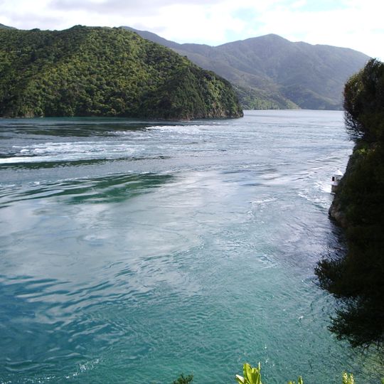 Te Aumiti / French Pass