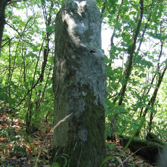 Steinkreuz, Sühnekreuz