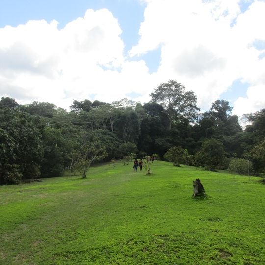 Allpahuayo-Mishana National Reserve