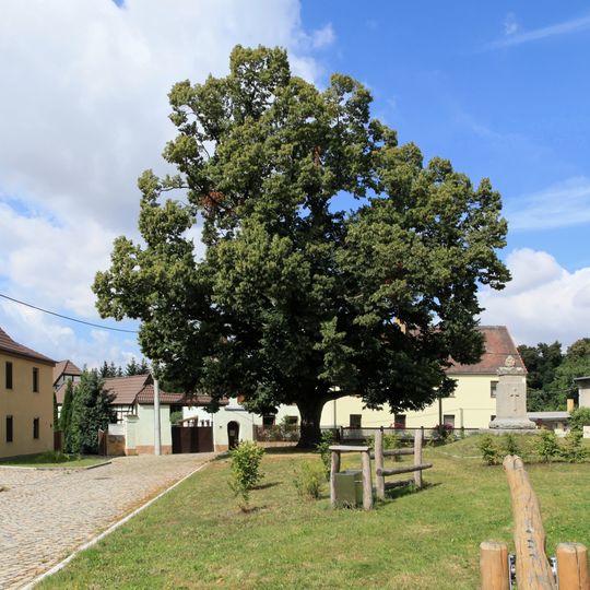 Linde am Kriederdenkmal Weltewitz