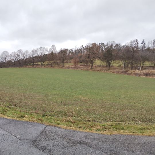 Alej svobody u Nechalova