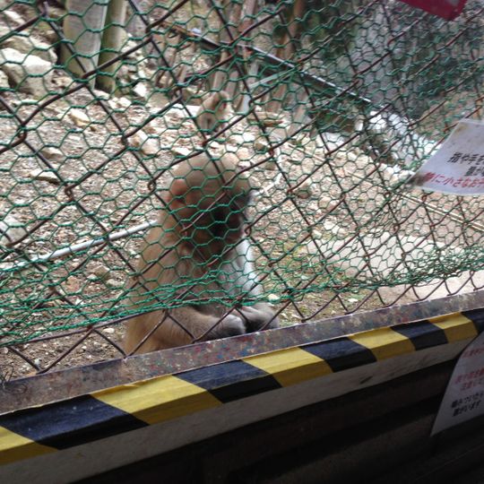 船越山るり寺モンキーパーク