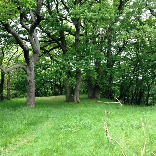 Burg auf dem Falkenberg
