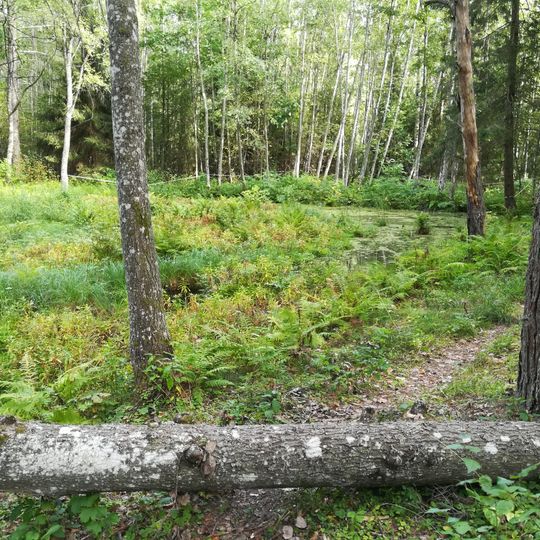 Tsõõrikmäe crater