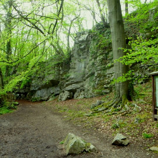 NSG Klauserwaeldchen-NSG Frankenwaeldchen
