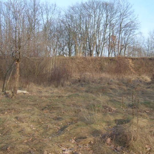 Cmentarz żydowski w Popowie Kościelnym