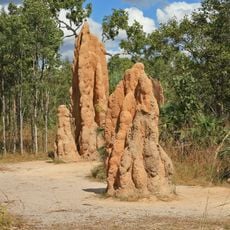 Nationaal park Litchfield