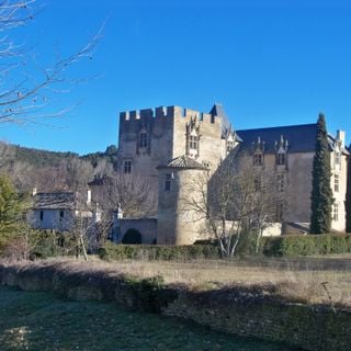 Castle of Allemagne-en-Provence