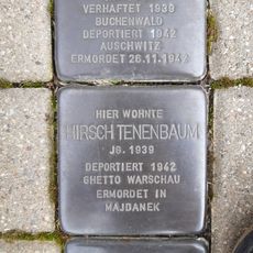 Stolperstein en memoria de Hersch Zwi Hermann Tenenbaum