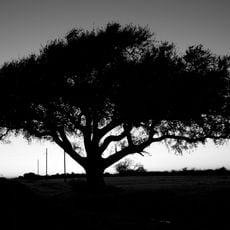 Texas Point National Wildlife Refuge