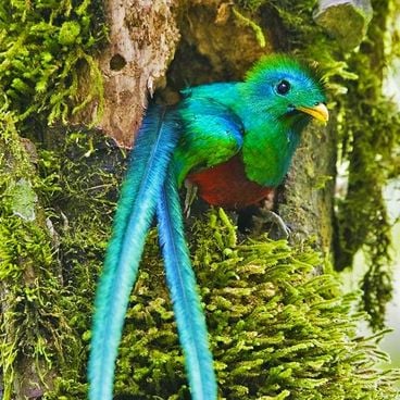 Pontos para fotos na Guatemala