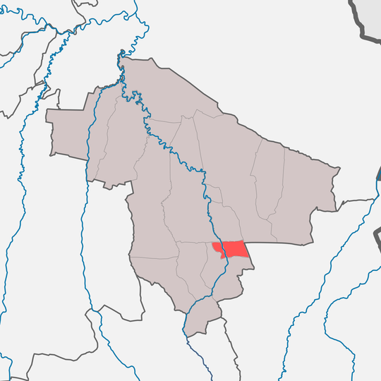 Ахкинчу-Борзойское сельское поселение
