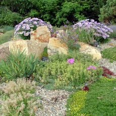 Betty Ford Alpine Gardens