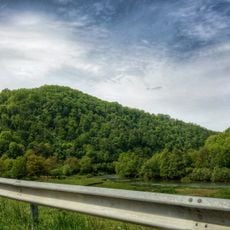 Defileul Crișului Negru la Borz