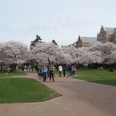 University of Washington Quad