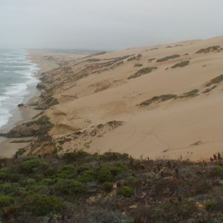 Guadalupe-Nipomo Dunes