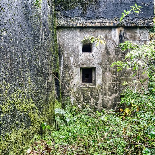 Cracow-Fort Skala observatory